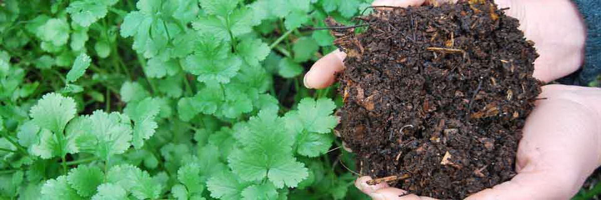 Compost classes for your community