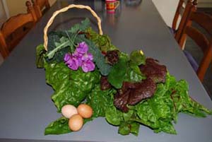 Fruits of the Garden