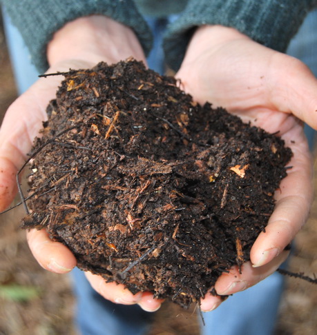 Finished compost My Green Garden