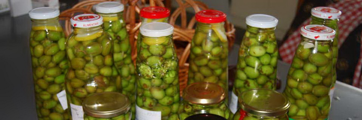 Curing Olives workshops