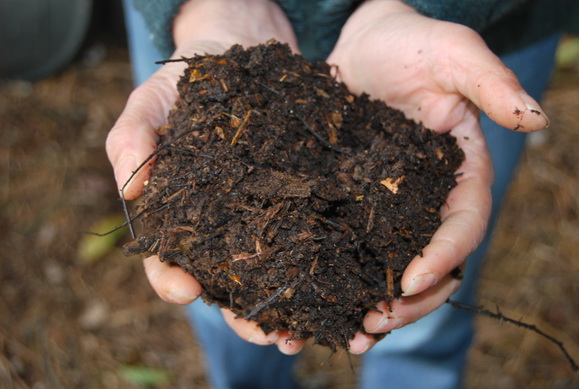 Great compost