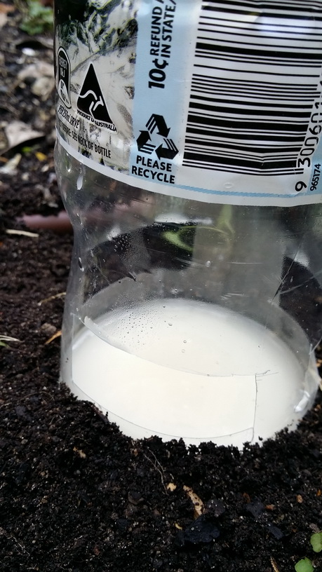 Bottle with snail lure My Green Garden