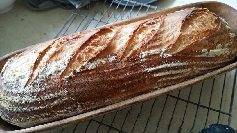 Sourdough loaf in a cloche at My Green Garden