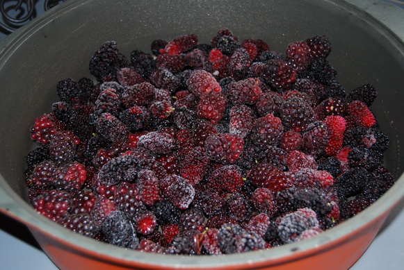 food preserving workshops berry jams