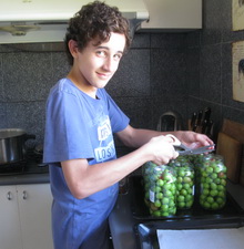 Preserving workshops olive curing