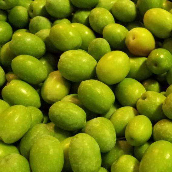 Lye-Cured Green Olives Recipe