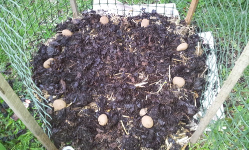 Potato Tower My Green Garden